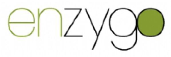 Enzygo logo